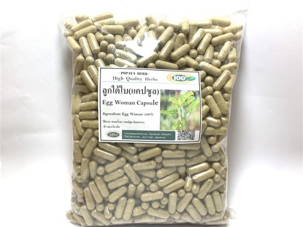 ลูกใต้ใบ 100% ราคาส่ง บำรุงและรักษาตับ ป้องกันตับอักเสบบี | PopayaNaturalProduct - คลองหลวง ปทุมธานี