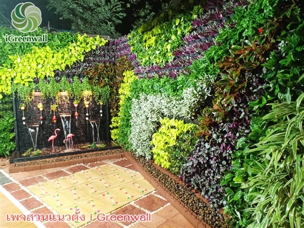 สวนแนวตั้งiGreenwall | สวนแนวต้้ง iGreenwall - ทุ่งครุ กรุงเทพมหานคร