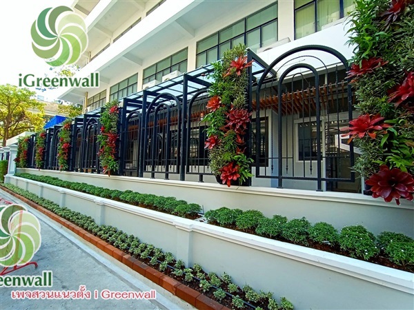 สวนแนวตั้งiGreenwall