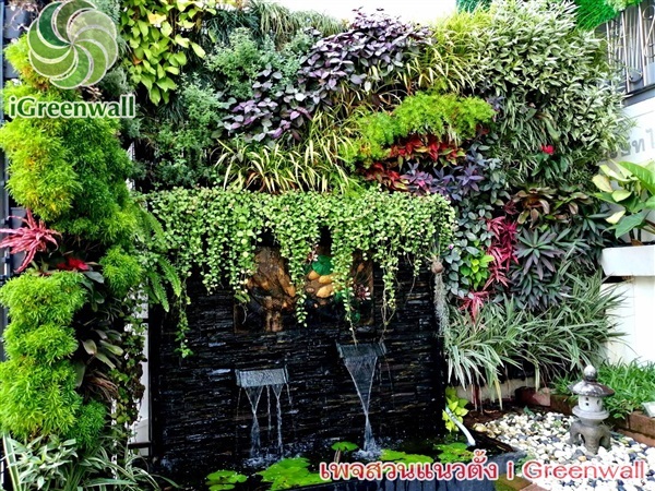 สวนแนวตั้งiGreenwall | สวนแนวต้้ง iGreenwall - ทุ่งครุ กรุงเทพมหานคร