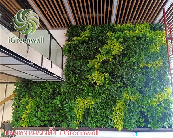 สวนแนวตั้งiGreenwall | สวนแนวต้้ง iGreenwall - ทุ่งครุ กรุงเทพมหานคร