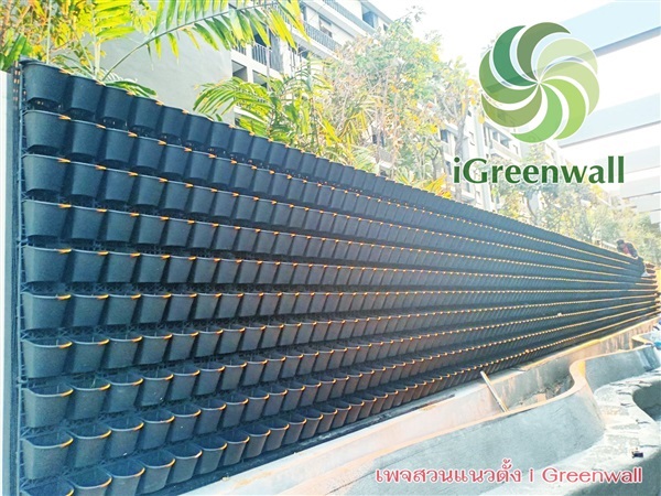 กระถางแนวตั้งiGreenwall | สวนแนวต้้ง iGreenwall - ทุ่งครุ กรุงเทพมหานคร