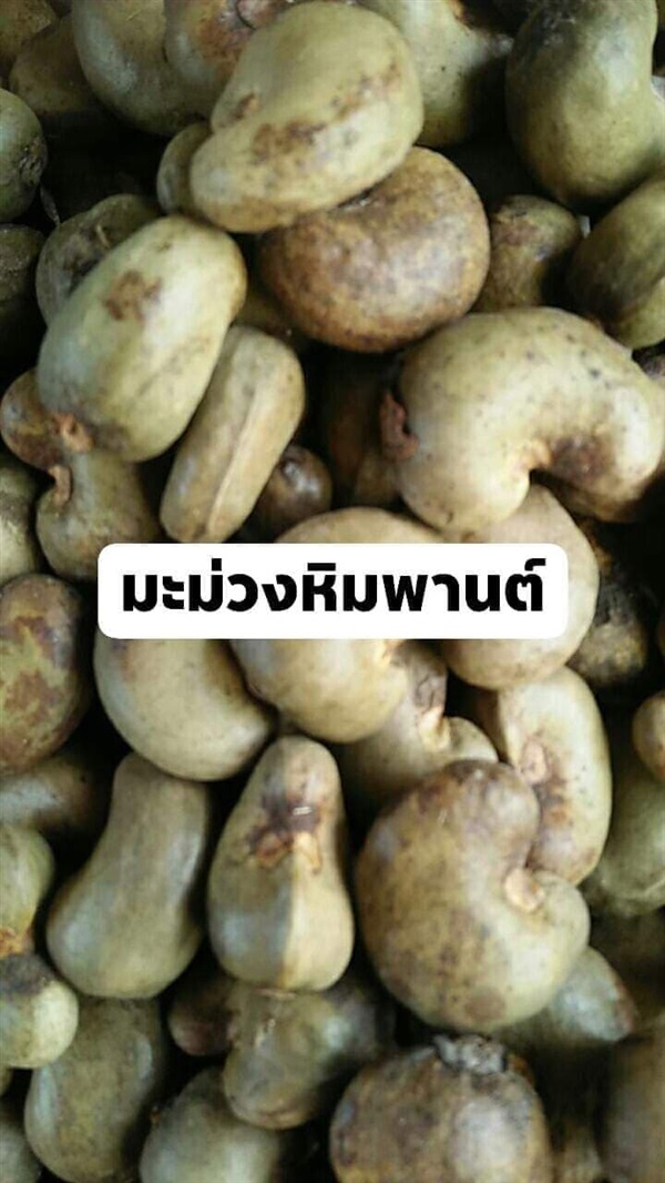 เม็ด มะม่วงหิมพานต์