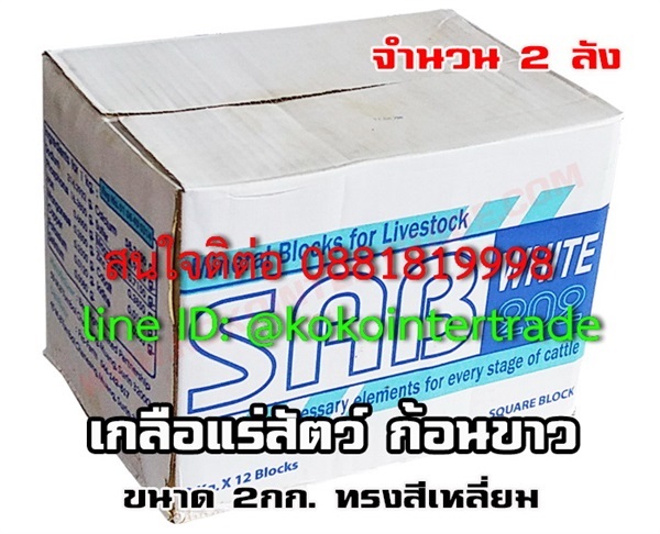 เกลือแร่ก้อนขาว แซบ202 2กก/ก้อน 2กล่อง   | บริษัท เคโอเคโอ อินเตอร์เทรด จำกัด - หลักสี่ กรุงเทพมหานคร