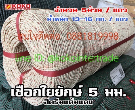  เชือกใยยักษ์ 5มม. ราคาขายส่ง เป็นกิโลกรัม   | บริษัท เคโอเคโอ อินเตอร์เทรด จำกัด - หลักสี่ กรุงเทพมหานคร