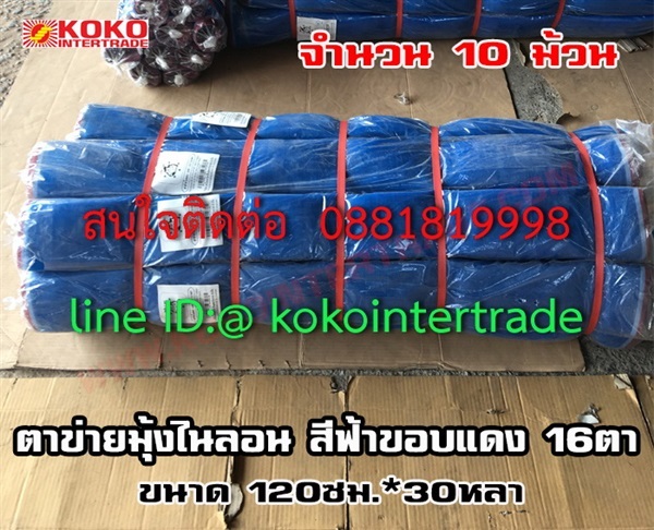  ตาข่ายมุ้งไนลอนฟ้า 16ตา 120cm*30y 10ม้วน   | บริษัท เคโอเคโอ อินเตอร์เทรด จำกัด - หลักสี่ กรุงเทพมหานคร