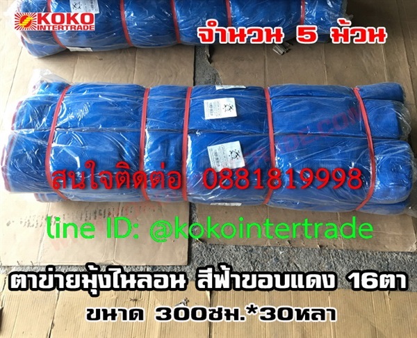 ตาข่ายมุ้งไนลอนฟ้า 16ตา 300cm*30y 5ม้วน   | บริษัท เคโอเคโอ อินเตอร์เทรด จำกัด - หลักสี่ กรุงเทพมหานคร