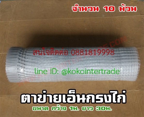 ตาข่ายกรงไก่ สีขาวขุ่น ขนาดกว้าง1ม.ยาว30ม. จำนวน 10ม้วน   | บริษัท เคโอเคโอ อินเตอร์เทรด จำกัด - หลักสี่ กรุงเทพมหานคร