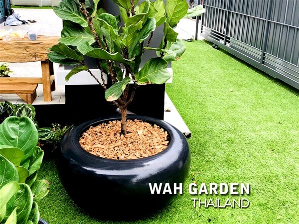 กระถางปูนซิเมนต์โมเดิร์น | Modern Cement Planter