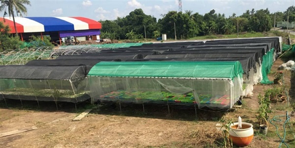 อุปกรณ์ปลูกผักไฮโดรโปนิกส์ | Nizehydrofarm - ปากเกร็ด นนทบุรี