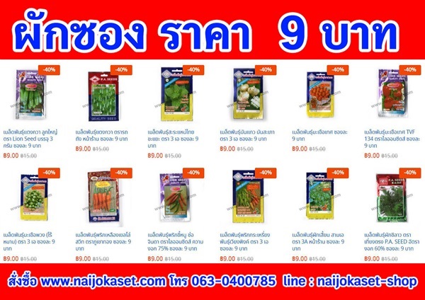 เมล็ดพันธุ์ผักชนิดซอง  ราคา 9 บาท | เมล็ดถั่วเขียว อุบลราชธานี - เมืองอุบลราชธานี อุบลราชธานี