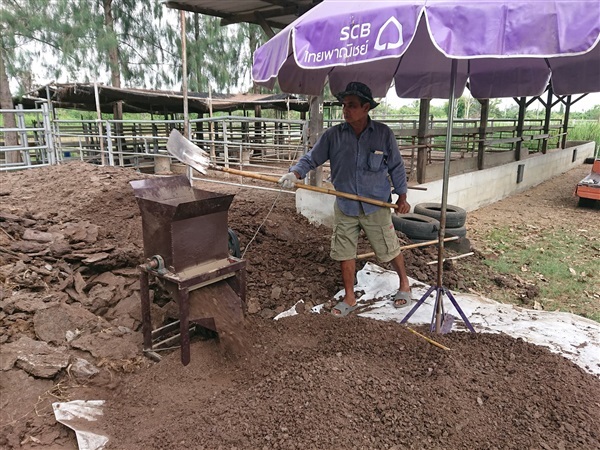 ขี้วัวคุณภาพดี วัวเลี้ยงด้วยอาหารข้น TMR | ตลาดกลางโคเนื้อ - กำแพงแสน นครปฐม