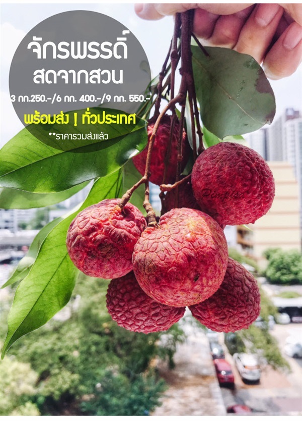 ลิ้นจี่จักรพรรดิ์