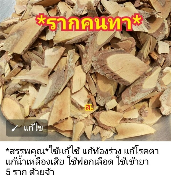 รากคนทา