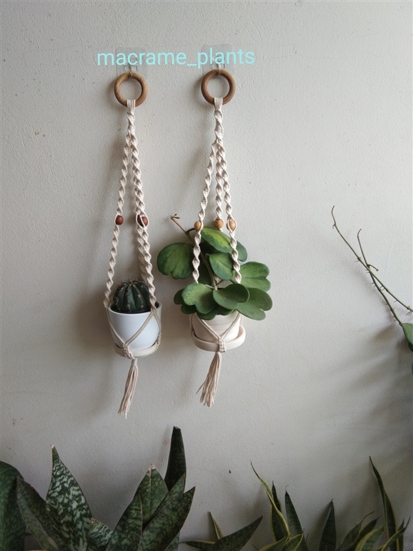 ที่แขวนกระถางต้นไม้ | Macrame plant hanger - บางขุนเทียน กรุงเทพมหานคร