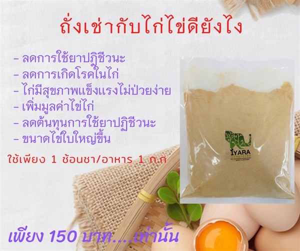 วัสดุเพาะถั่งเช่าสำหรับอาหารไก่ | ถั่งเช่า ไอยรา - ลำลูกกา ปทุมธานี