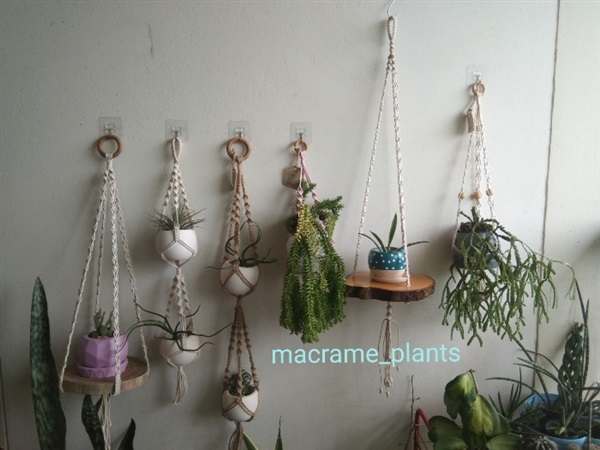 ที่แขวนกระถางต้นไม้ | Macrame plant hanger - บางขุนเทียน กรุงเทพมหานคร
