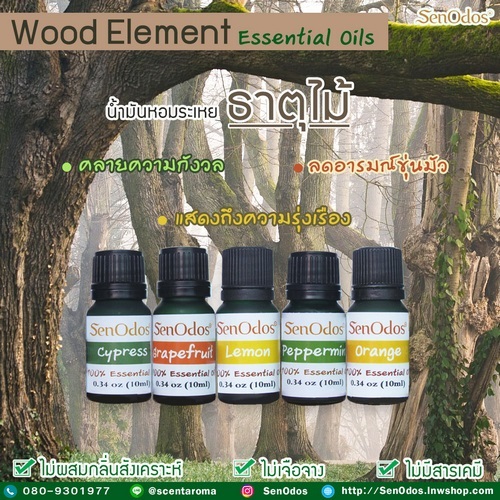 ชุดดเซ็ตน้ำมันหอมระเหยแท้ น้ำมันหอมระเหยตามธาตุ ธาตุไม้ | AromaTherapy - คันนายาว กรุงเทพมหานคร