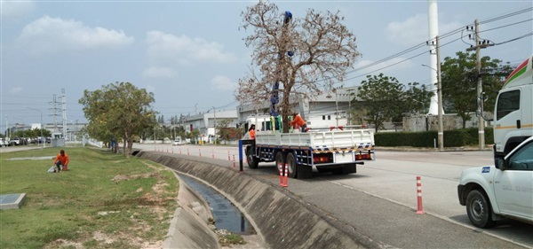 บริการรถเฮี๊ยบ ขน ย้าย | โชคพันธุ์ไม้ - เมืองปราจีนบุรี ปราจีนบุรี