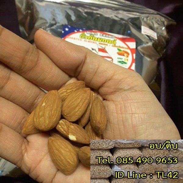  ขายส่ง เม็ดอัลมอนด์ ดิบและอบ ALMOND จํานวนมาก | TL NUTS - เมืองสุรินทร์ สุรินทร์