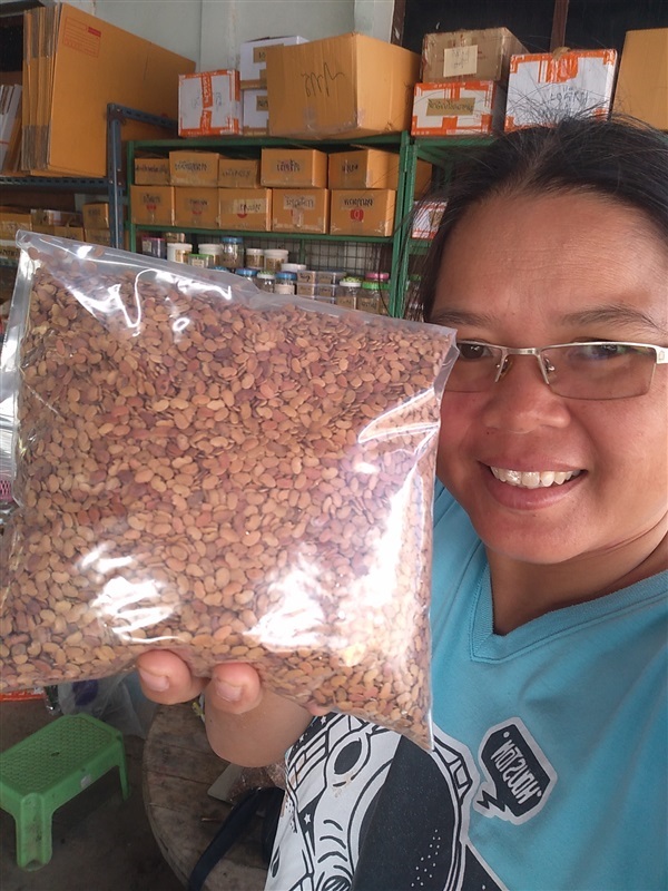 ขายเมล็ดพยุงไทย | เมล็ดพันธุ์ดี เกษตรวิถีไทย - เมืองระยอง ระยอง