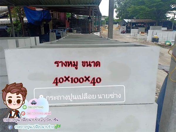 กระถางปูนเปลือยทรงรางหมู | ร้านกระถางปูนเปลือยนายช่าง - องครักษ์ นครนายก