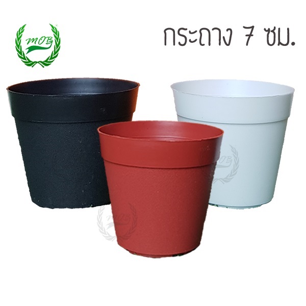 กระถางแคคตัส 7 ซม 2.75 นิ้ว (สีดำ สีอิฐแดง สีขาว) | Mob Cactus - ลาดพร้าว กรุงเทพมหานคร