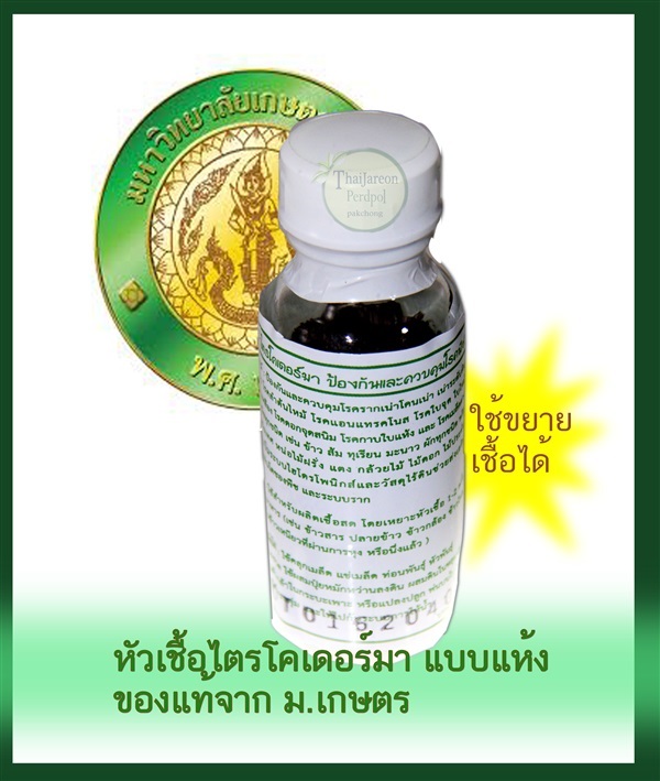 หัวเชื้อราไตรโคเดอร์ม่า (1 ขวด 20 กรัม) ม.เกษตรกำแพงแสน แท้