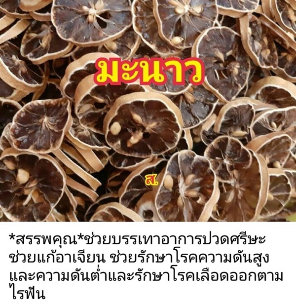 มะนาว | สวนหทัยทิพย์ - วัดโบสถ์ พิษณุโลก