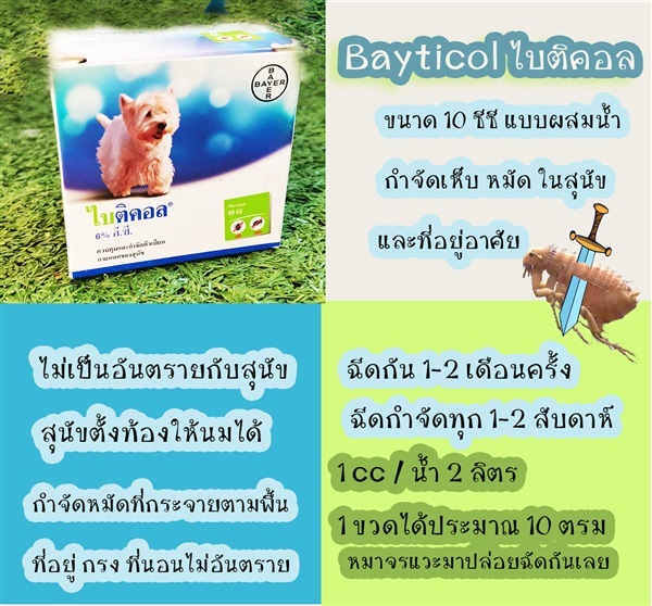 ยากำจัดเห็บหมัด ควบคุมและกำจัดเห็บ หมัด สุนัข ไบติคอล 6% Bay | ร้านไทยเจริญพืชผล ปากช่อง - ปากช่อง นครราชสีมา