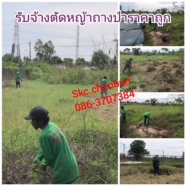 รับจ้างตัดหญ้าถางป่าราคาถูก | SKC Chonburi - เมืองชลบุรี ชลบุรี