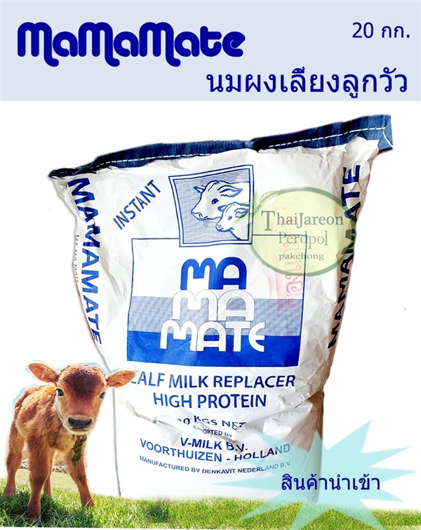 Mamamate นมผง สำหรับสัตว์ นมผงสำหรับลูกวัว ลูกโค กระบือ | ร้านไทยเจริญพืชผล ปากช่อง - ปากช่อง นครราชสีมา