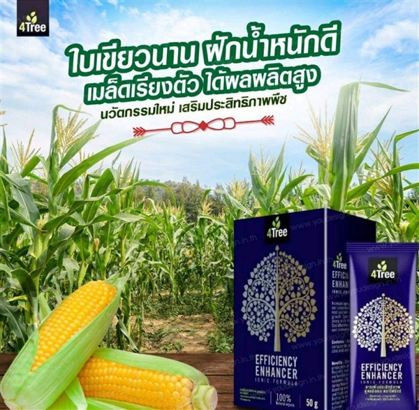 4Tree โฟร์ทรี สารเสริมประสิทธิภาพสูตรอิออน | MICRO@FARMERS - บ่อพลอย กาญจนบุรี