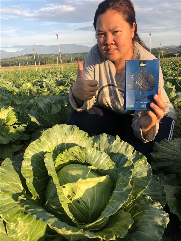 4Tree โฟร์ทรี สารเสริมประสิทธิภาพสูตรอิออน | MICRO@FARMERS - บ่อพลอย กาญจนบุรี