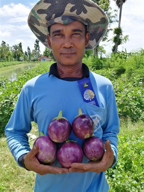 4Tree โฟร์ทรี สารเสริมประสิทธิภาพสูตรอิออน | MICRO@FARMERS - บ่อพลอย กาญจนบุรี