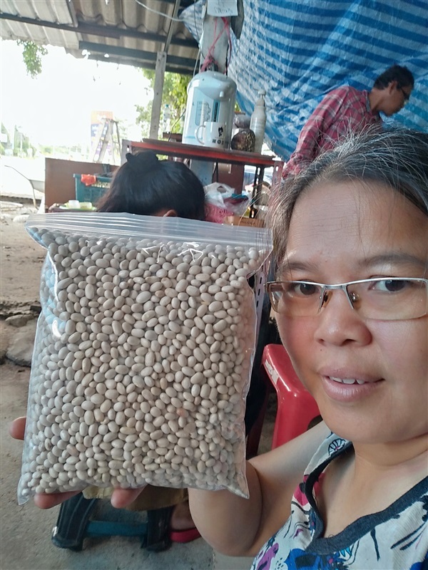 ขายเมล็ดถั่วขาว สำหรับปลูกหรือเอาไปรับประทานได้ | เมล็ดพันธุ์ดี เกษตรวิถีไทย - เมืองระยอง ระยอง