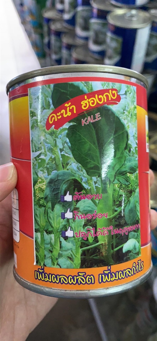 เมล็ดพันธุ์ คะน้า ฮ่องกง ต้นอวบ ปลูกได้ดีในฤดูหนาวขนาด50กรัม | ร้านไทยเจริญพืชผล ปากช่อง - ปากช่อง นครราชสีมา