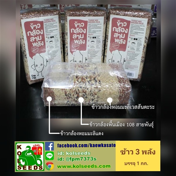 ข้าวกล้องหอมมะลิออร์แกนิก 3 (ชนิด) พลัง ปลอดสารพิษ  | แก้วเกษตร - คลองหลวง ปทุมธานี