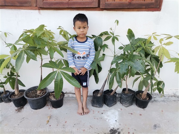 ศุภโชค | สวนปกป่า - เขาวง กาฬสินธุ์