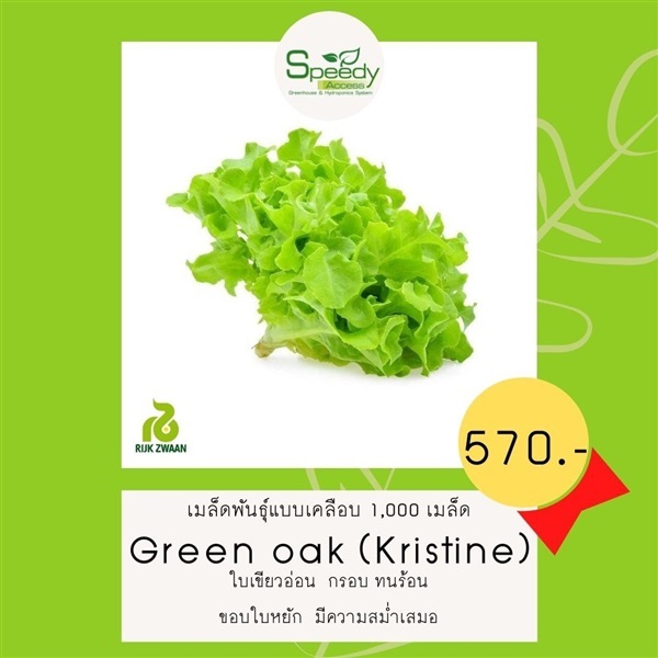 Green oak (Kristine) กรีนโอ๊ค คริสติน | SPEEDYACCESS  - บึงกุ่ม กรุงเทพมหานคร