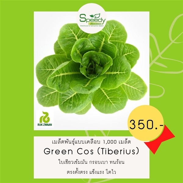 Green cos (Tiberius) กรีนคอส | SPEEDYACCESS  - บึงกุ่ม กรุงเทพมหานคร