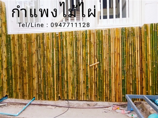 รับทำกำแพงไม้ไผ่ ทั่วประเทศ | ฟามสุข - คลองหลวง ปทุมธานี