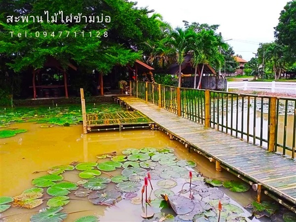 รับทำสะพานไม้ไผ่ข้ามบ่อน้ำ รับงานทั่วประเทศ | ฟามสุข - คลองหลวง ปทุมธานี