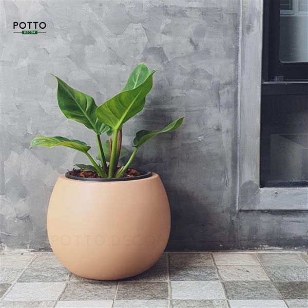 กระถางไฟเบอร์กลาสทรงโอ่งเล็ก สีน้ำตาล | POTTO DECOR - ลำลูกกา ปทุมธานี