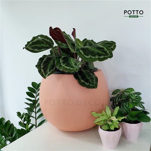 กระถางไฟเบอร์กลาสทรงโอ่งเล็ก สีพีช  | POTTO DECOR - ลำลูกกา ปทุมธานี