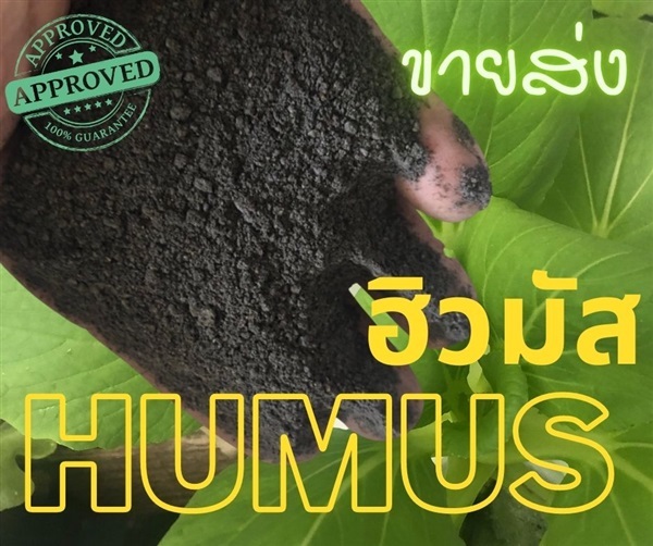 ฮิวมัส 100% กระสอบละ 25 ก.ก. | สวนคุณธนัชพันธุ์ไม้ - ลำลูกกา ปทุมธานี