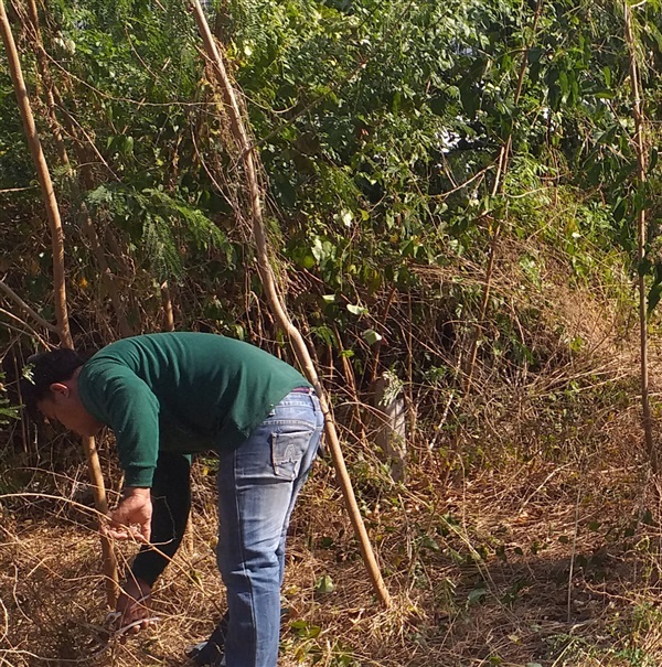 รับเคลีย พื้นที่ป่ารกปรับหน้าดินราคาย่อมเยา พัทยา ชลบุรี | สวนกุ้ง กาเด้น - บางละมุง ชลบุรี