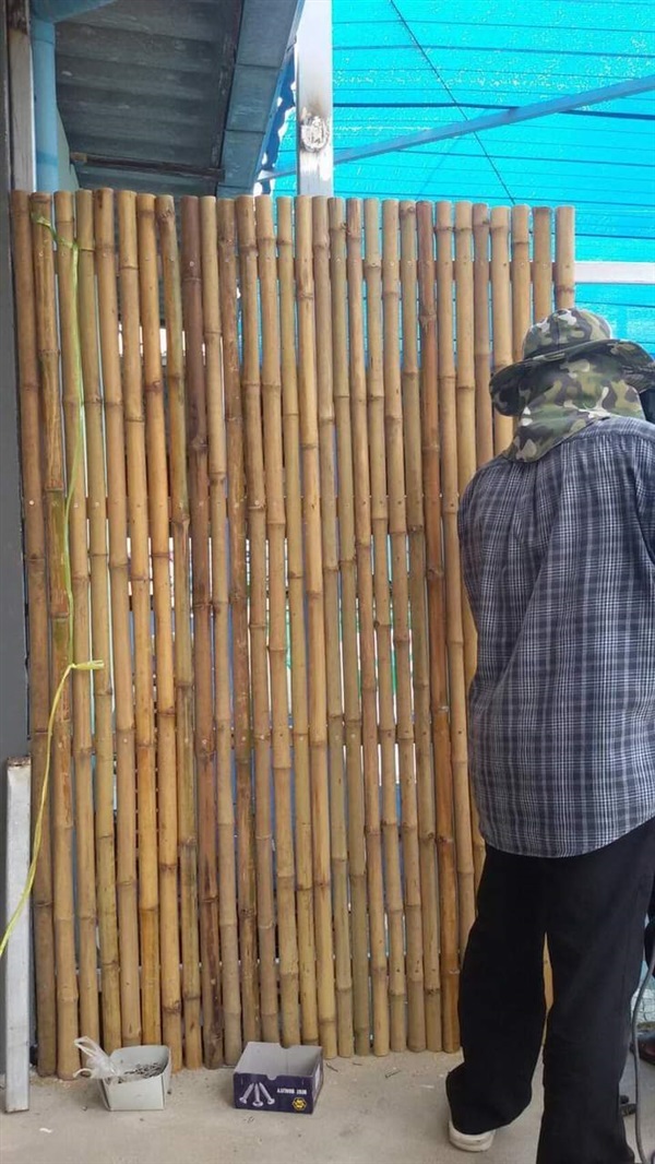 ไม้ไผ่แช่น้ำยา ไม้ไผ่กันมอด รั้วไม้ไผ่ บริการส่งทั่วประเทศ | mebamboothailand - เมืองนนทบุรี นนทบุรี