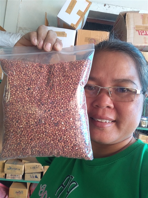 เมล็ดข้าวฟ่างแดง | เมล็ดพันธุ์ดี เกษตรวิถีไทย - เมืองระยอง ระยอง