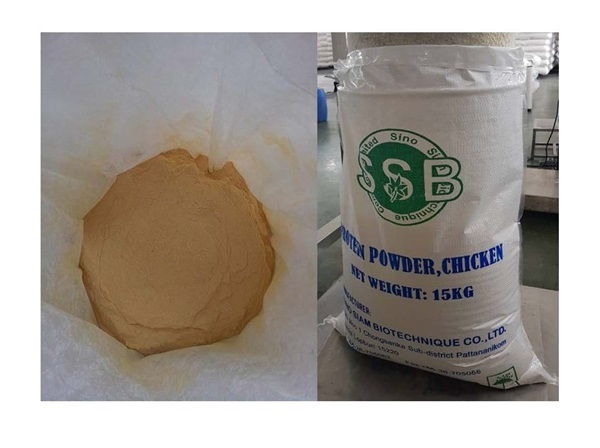 ผงโปรตีน(Protein PowderX | บริษัทซีโนสยาม ไบโอเทคนิค จำกัด - พัฒนานิคม ลพบุรี